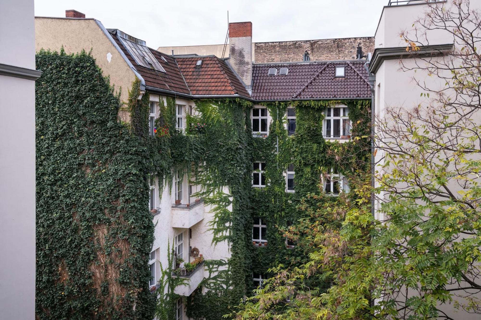 Numa Berlin Novela 아파트 호텔 객실 사진