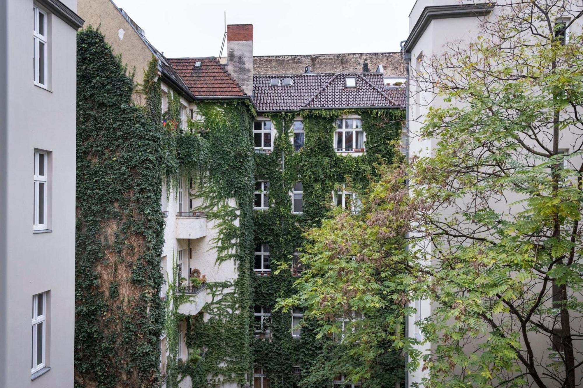 Numa Berlin Novela 아파트 호텔 객실 사진